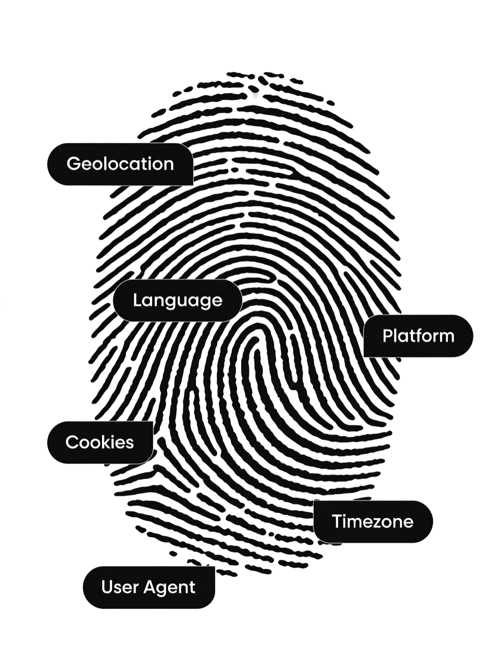 Per-profile fingerprint — User Agent, Platform, Timezone, Language, Geolocation and Cookies generated to agree with each other